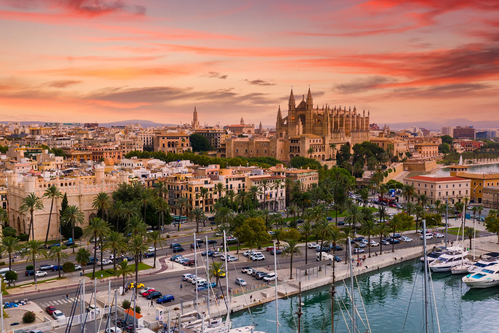 Leben und Arbeiten auf Mallorca: Ein Traum oder eine Herausforderung?